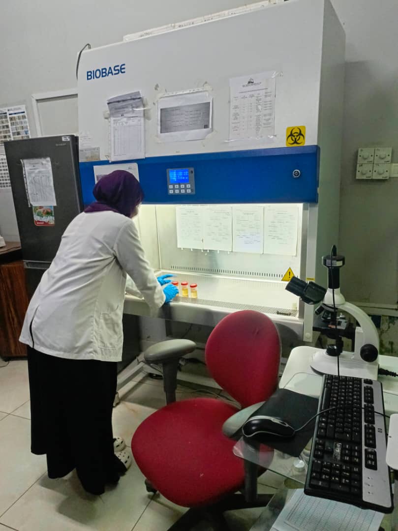 Students during supervised laboratory practice